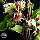 Walnut -Hazel-nut made of polymer clay, Flowers, Orel,  Фото №1