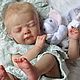 Penelope, Yuki от Jannie De Lange. Заготовки для кукол и игрушек. Knopkadoll. Ярмарка Мастеров.  Фото №6