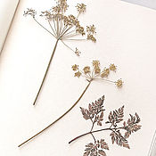 Канцелярские товары handmade. Livemaster - original item Album for herbarium Tenderness (mini-format, for 20 plants). Handmade.