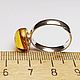 Amber. Inclusion 'Someone in Amber'. Stones. Amber is a warm stone. My Livemaster. Фото №5