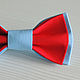 Бабочка галстук красно-голубая, хлопок, Галстуки, Оренбург,  Фото №1