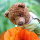 Bear-Beetle (Teddy Bear dressed in a suit of beetle). Teddy Bears. PROTEDDY (Olga Arhipova). Ярмарка Мастеров.  Фото №5