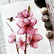 'Pollinated by beauty' watercolor (flowers, sakura, pink), Pictures, Korsakov,  Фото №1