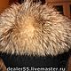 Raccoon fur collar. Boa. Forestfox. Family Fur Atelier. Online shopping on My Livemaster.  Фото №2