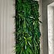 Заказать Стена из стабилизированных растений. Nature Walls|Вертикальное озеленение. Ярмарка Мастеров. . Фитокартины Фото №3