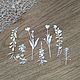 !Cutting for scrapbooking-SET of WILD HERBS 1, Scrapbooking cuttings, Mytishchi,  Фото №1
