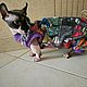 Cat Clothes Fleece Jumpsuit - 'Sneakers'. Pet clothes. Happy-sphynx. Online shopping on My Livemaster.  Фото №2