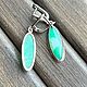 Серьги в мельхиоре с Хризопразом. Серьги классические. Jeweller -Danil. Интернет-магазин Ярмарка Мастеров.  Фото №2