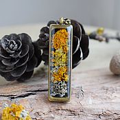 Украшения handmade. Livemaster - original item A narrow resin pendant with real lichens. Pendant with plants. Handmade.