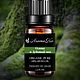 Ароматическое масло Олива и Дубовый мох AROMAKO 20 мл, Ароматические диффузоры, Москва,  Фото №1