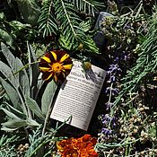 Косметика ручной работы handmade. Livemaster - original item 25 herbs, hydrolate for hair from the collection of plants 2023. Handmade.