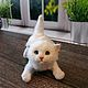 Котёнок. Игрушка ручной работы. Игрушки. Шерстинка(валяные игрушки, картины, вязаные подушки, гобелены).. Ярмарка Мастеров.  Фото №4