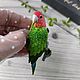 Заказать Попугай Неразлучник. Брошь. Wonderful bird. Irina Zhovner. Ярмарка Мастеров. . Брошь-булавка Фото №3