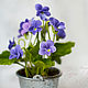 Order Forest violet. Arrangement in a tin bucket. KG_flowers. Livemaster. . Composition Фото №3