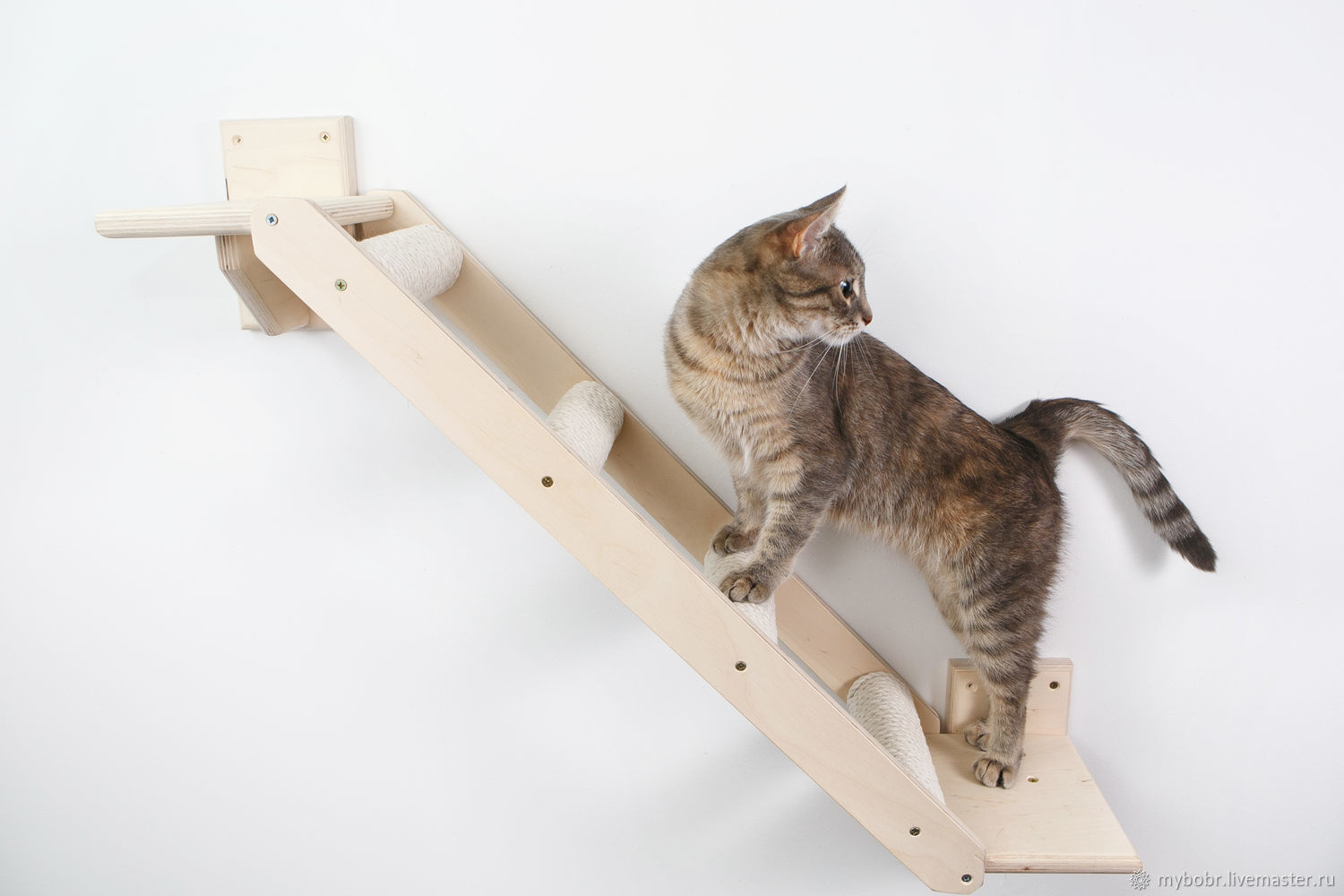 Лестницы Для Кошек Купить В Интернет Магазине
