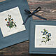 Mini album for herbarium Bindweed tricolor (20 sheets), Photo albums, Krasnogorsk,  Фото №1