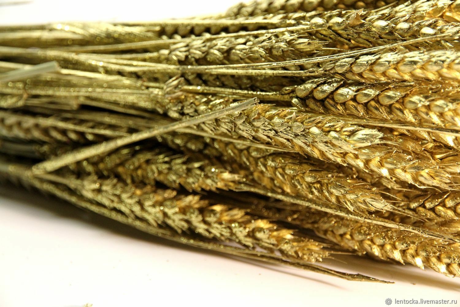 Пшеница сухоцвет для декора: купить колосья пшеницы для украшения