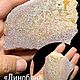 Кость динозавра, Altasaurus, Марокко, Камни, Новосибирск,  Фото №1
