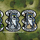Order Patch 'WISDOM AND CHARISMA' (camouflage / gray / sand). Beloretskie Patches. Livemaster. . Fun Фото №3
