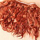 Order Mohair tress (chestnut) (Hair for dolls). Hair and everything for dolls. Livemaster. . Doll hair Фото №3
