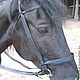 Bridle "Steppe" or "Cossack"with rein, Handmade. Bridles. Saddlery and blacksmith's yard. Online shopping on My Livemaster.  Фото №2
