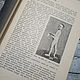 Винтаж: Антикварная Книга "Моя Система" 1909 год. Книги винтажные. Antikvarbuk. Ярмарка Мастеров.  Фото №4