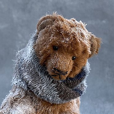 Медведь зима. Замерзший мишка. Медведь зимой. Бурый медведь в берлоге. Медведь гризли в берлоге.
