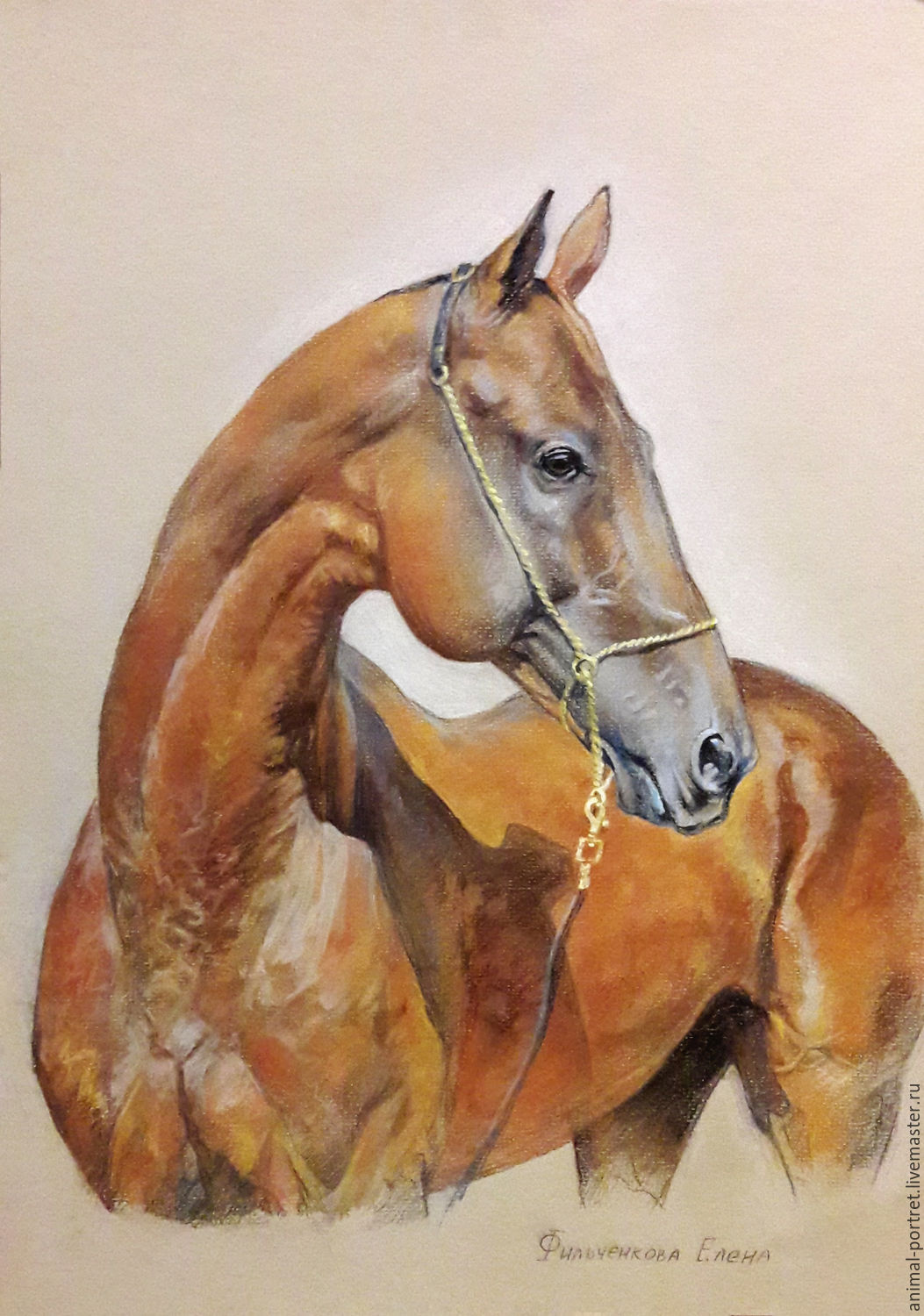 Ахалтекинская лошадь картины