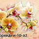 Print stitch ribbon - Orchid, Patterns for embroidery, Chelyabinsk,  Фото №1