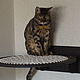 Hammock wicker round ' cat's dream'. Pet Hammock. VIMBESK. Online shopping on My Livemaster.  Фото №2