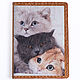 Обложка на паспорт с котиками. ODPKRRK16, Обложка на паспорт, Санкт-Петербург,  Фото №1