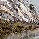 Секретное местечко. Картины. ARTgalera. Ярмарка Мастеров.  Фото №6