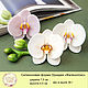 Silicone soap mold 'Orchid Phalaenopsis'. Form. myfavoriteforms (myfavoriteforms). My Livemaster. Фото №5