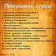 Видео-Курс. Программа ДК 8(9) от простого к сложному. Схемы для вязания. Связанная мода (Светлана) (barkinder). Интернет-магазин Ярмарка Мастеров.  Фото №2