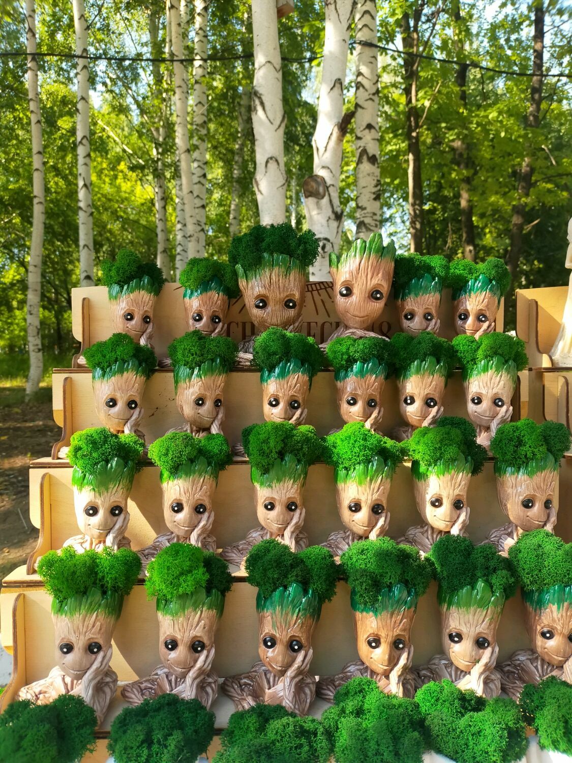 грут мох. кашпо череп мох. грут мох. кашпо грут малыш. грут мох.