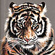  Tiger. symbol of the year. Print from the author's work, Pictures, St. Petersburg,  Фото №1