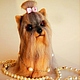 el perro de la fifa - yorkshire terrier, Stuffed Toys, Zelenograd,  Фото №1