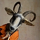 The goat at Saks. Stuffed Toys. 7cvetik70. Online shopping on My Livemaster.  Фото №2