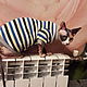 Одежда для кошек "Футболка теплая Матроскин", Одежда для питомцев, Бийск,  Фото №1