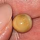 Природный жемчуг Мело(Melo), 4,06ct, Минералы, Москва,  Фото №1