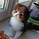  Котенок из шерсти. Войлочная игрушка. Марина Михайлова -Шерстяное Чудо (woolmiracle). Ярмарка Мастеров.  Фото №10
