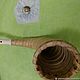 Wind instrument "Zhaleyka", Other instruments, Zelenogorsk,  Фото №1