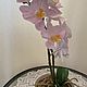 Орхидеи из холодного фарфора. Композиции. Флера Flowers. Интернет-магазин Ярмарка Мастеров.  Фото №2