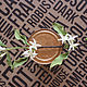 Шляпное украшение: веточка кофе с цветками и плодами, Шляпы, Пенза,  Фото №1