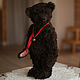 Мишка Варин. Мишки Тедди. Елена Перминова (elenaperminovabears). Ярмарка Мастеров.  Фото №5