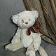  Котик Пушок. Тедди Зверята. Ручные мишки Тедди (tamedteddybears). Ярмарка Мастеров.  Фото №6