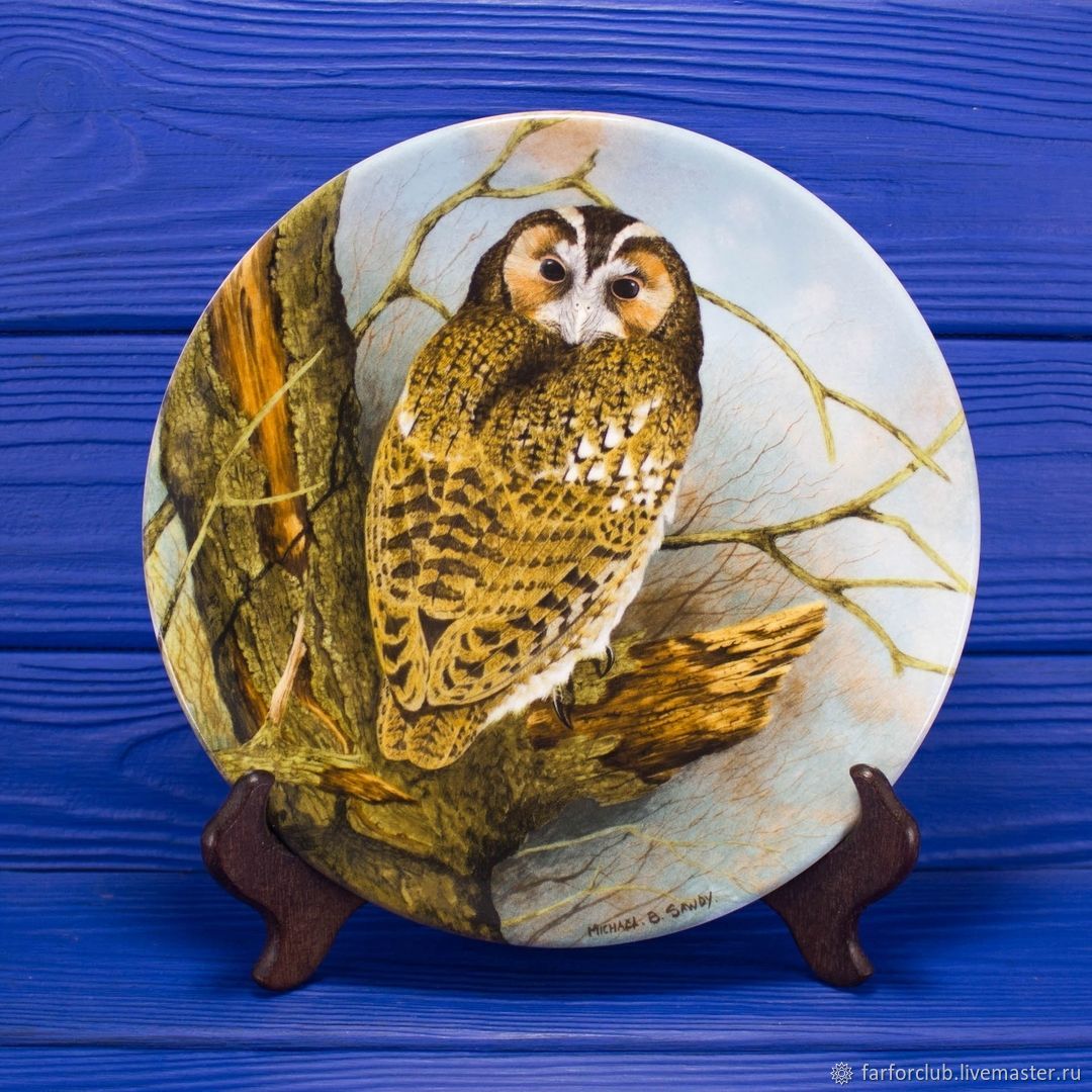 Тарелка 9704A Tawny Owl от Coalport серии The Wise Owl в интернет-магазине  Ярмарка Мастеров по цене 2762.5 ₽ – UZO9CRU | Тарелки декоративные, Москва  - доставка по России