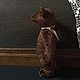   Потап. Мишки Тедди. Ручные мишки Тедди (tamedteddybears). Ярмарка Мастеров.  Фото №12