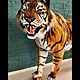 Имитация Амурского тигра. Искусственный мех. Чучело тигра. Скульптуры. The Art of Taxidermy. Ярмарка Мастеров.  Фото №5