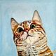 Painting cat funny portrait of a pet to order in oil, Pictures, Ekaterinburg,  Фото №1